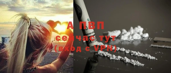 эйфоретик Дмитров