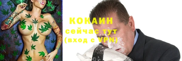 меф Дмитриев