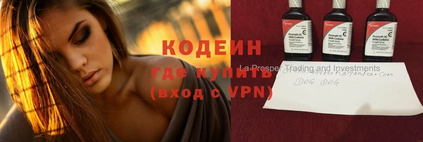 меф Дмитриев