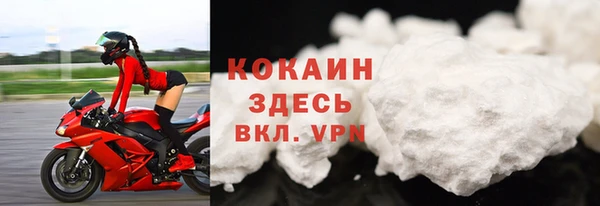 меф Дмитриев