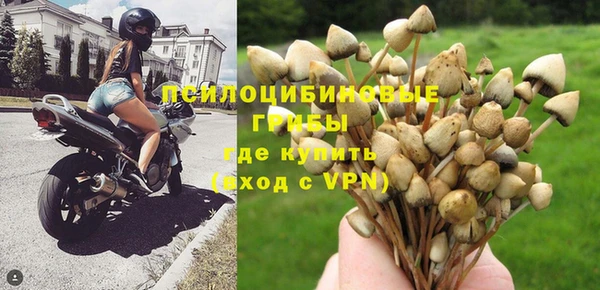 меф Дмитриев