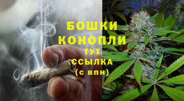 альфа пвп Дмитровск