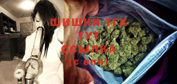 меф Дмитриев