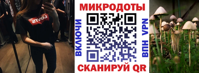 Купить  Фурманов  Галлюциногенные грибы Cubensis 